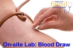 Tampa Bay Family Physicians Lab Blood Work